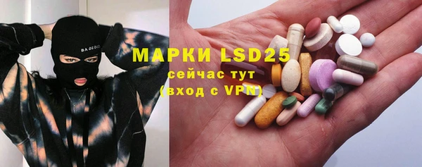 сатива Баксан