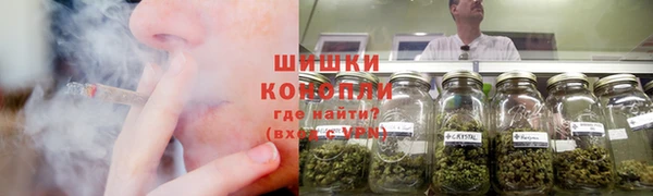 сатива Баксан