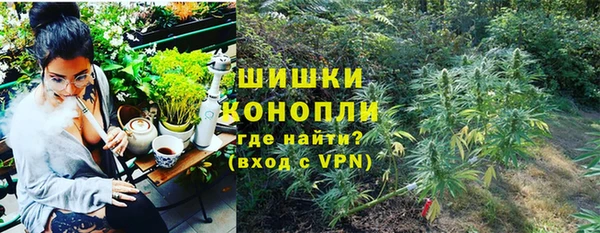 сатива Баксан