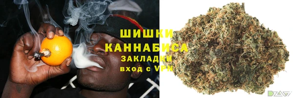 сатива Баксан