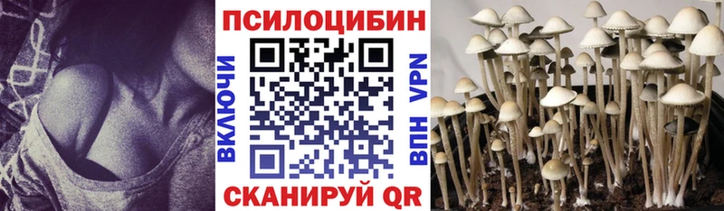 закладки  Корсаков  Псилоцибиновые грибы прущие грибы 