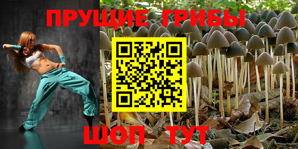 Псилоцибиновые грибы GOLDEN TEACHER Корсаков