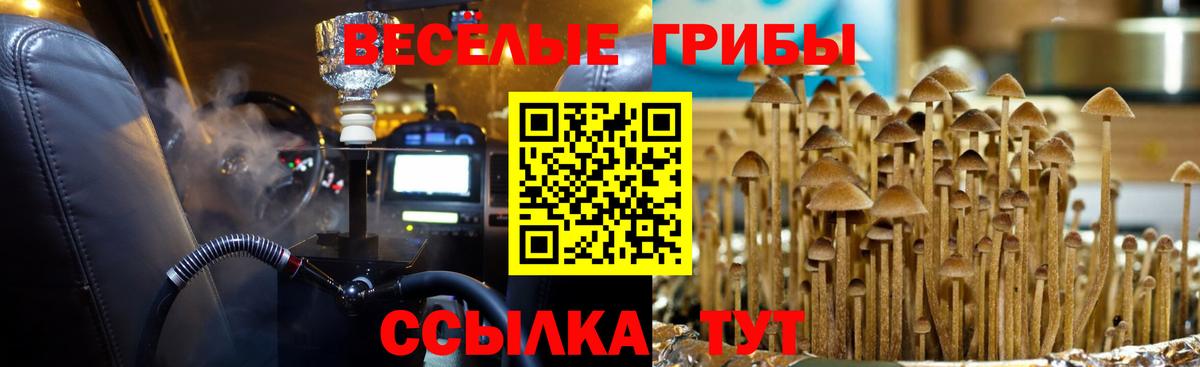 Галлюциногенные грибы Cubensis  купить закладку  Корсаков  Галлюциногенные грибы мицелий  Вход с VPN 